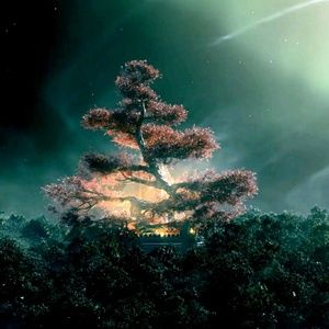 Meet your Posher, Lyna